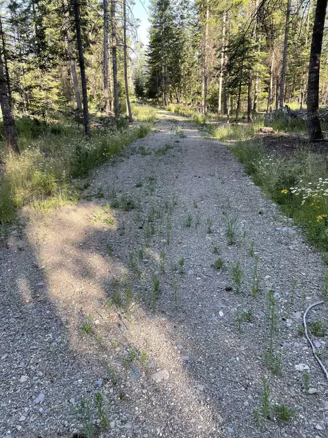 360 Chuck Wagon Ln, Cusick, WA 99119 photo 3
