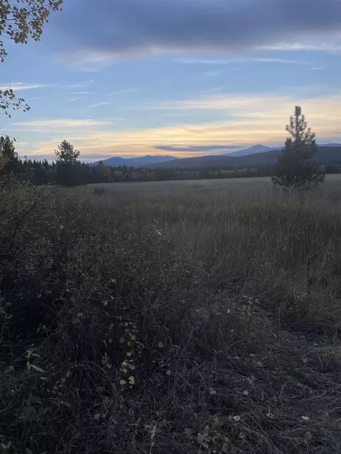 360 Chuck Wagon Ln, Cusick, WA 99119 photo 6