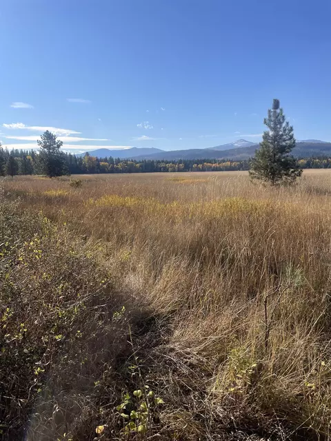 360 Chuck Wagon Ln, Cusick, WA 99119