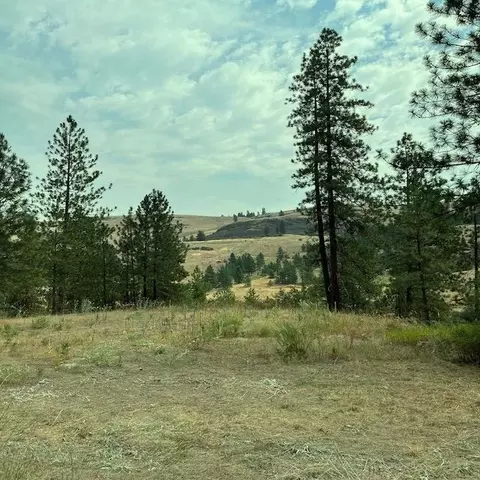 lot2 Scotch Broom Sp Ln, Davenport, WA 99122