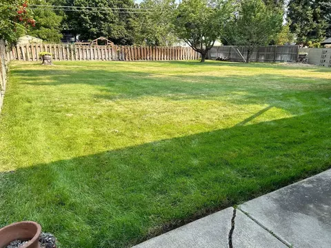 1325 E 35th Ave, Spokane, WA 99203 photo 29