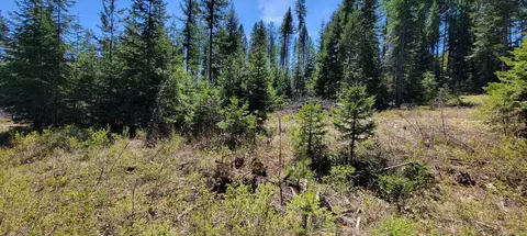 4141 Rosehill Rd # X, Springdale, WA 99173