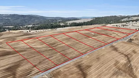 8008 South Jackson Road, Mica, WA 99023