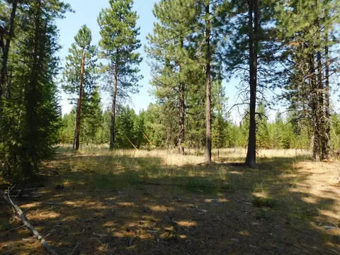 NN Deer Valley Rd #PARCEL C, Newport, WA 99156