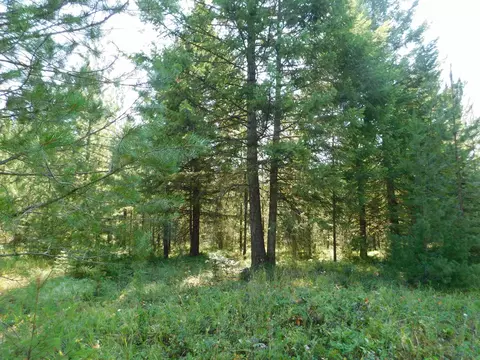 XXO Deer Valley Rd #PARCEL A, Newport, WA 99156