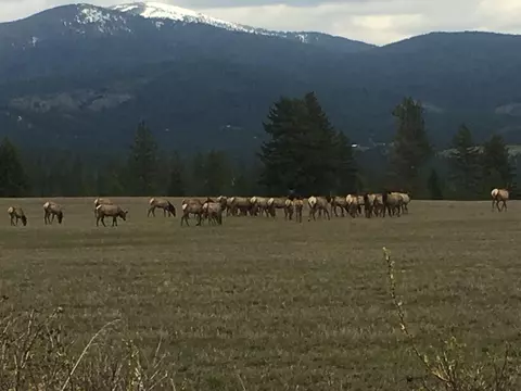 0 E Orchard Bluff Lot C Rd, Chattaroy, WA 99003