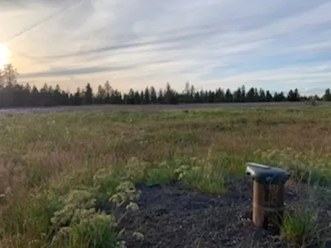 2103 E Red Barn Ln, Spangle, WA 99031 photo 5