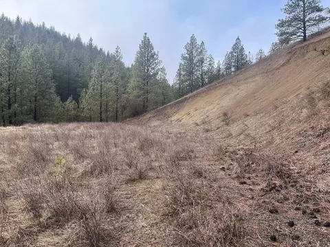 lot1 Aspen Sp Blue Grouse Dr, Davenport, WA 99122