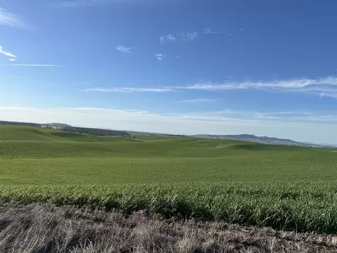 Unassigned Address Rd, Spangle, WA 99031 photo 4