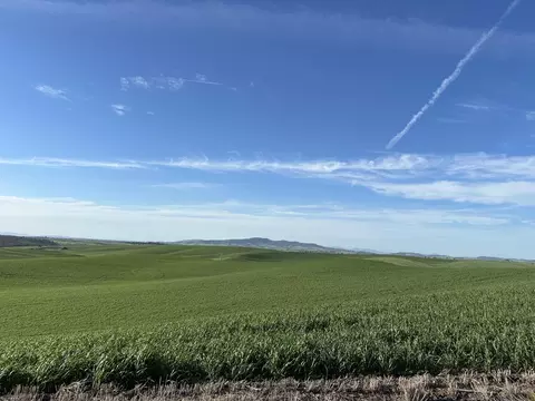 Unassigned Address Rd, Spangle, WA 99031 photo 5