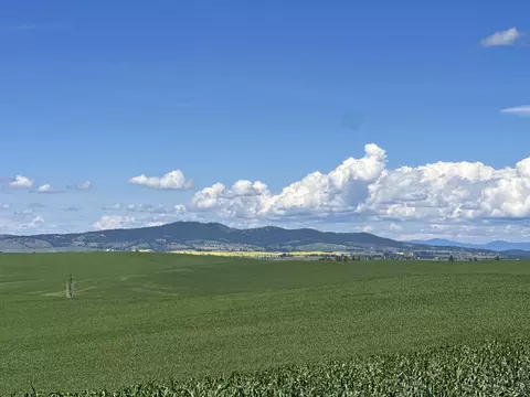 Unassigned Address Rd, Spangle, WA 99031 photo 3