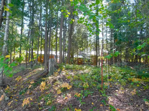 452 Hazel St, Cusick, WA 99119 photo 9