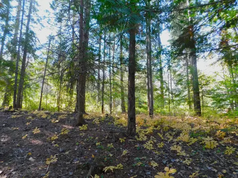 452 Hazel St, Cusick, WA 99119 photo 7