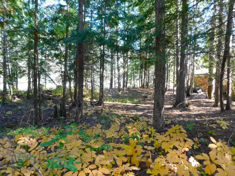 452 Hazel St, Cusick, WA 99119 photo 6
