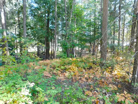 452 Hazel St, Cusick, WA 99119 photo 5