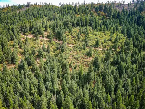 Nkn N Leclerc Rd, Cusick, WA 99119 photo 5
