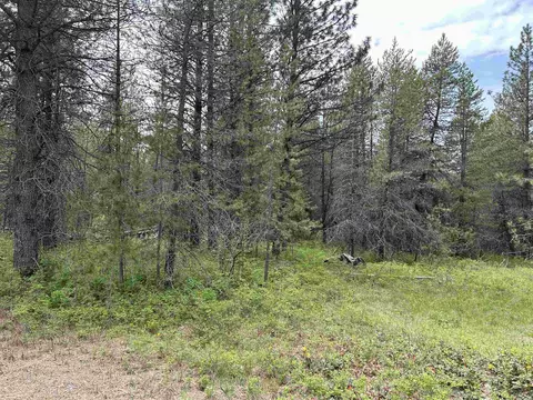 Nnn N Division Rd, Deer Park, WA 99006