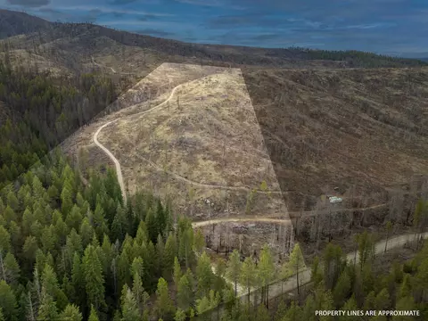 lot7 Rail Canyon Rd, Springdale, WA 99173
