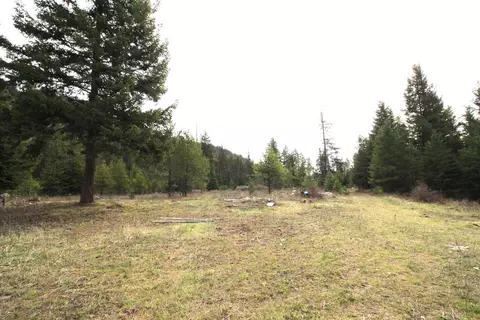 68 Arthurs Blvd, Cusick, WA 99119 photo 2