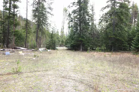 68 Arthurs Blvd, Cusick, WA 99119 photo 6