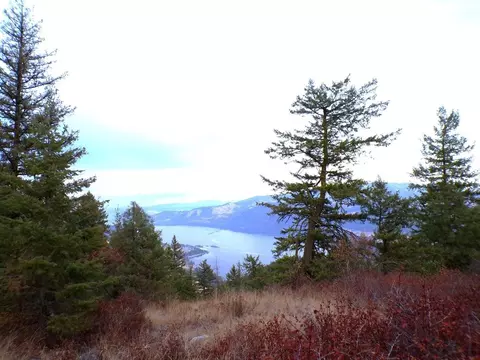 APT n Morning Star Ln, Inchelium, WA 99138