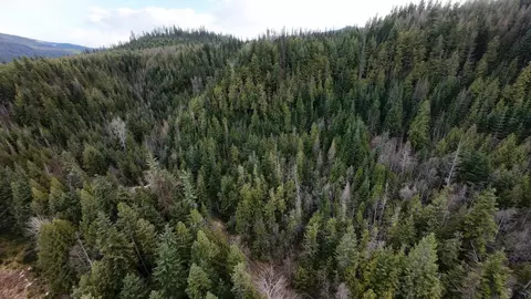 7301 Wa-31 Hwy, Ione, WA 99139