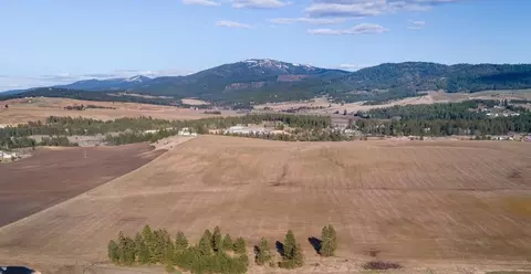 13111 E Gibbs Rd, Mica, WA 99023