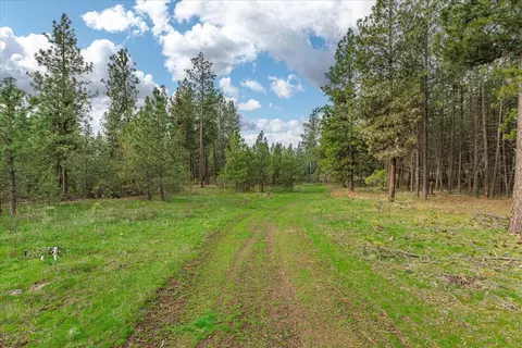 15806 S Stentz Rd, Spangle, WA 99031