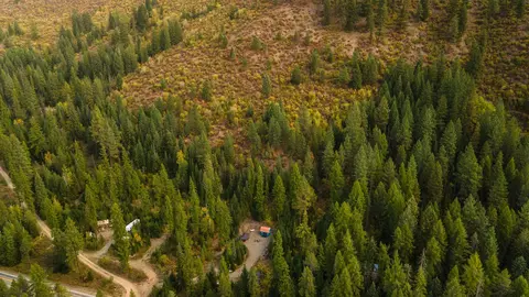 20540 N Leclerc Rd, Cusick, WA 99119 photo 25
