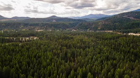 20540 N Leclerc Rd, Cusick, WA 99119 photo 21