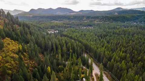 20540 N Leclerc Rd, Cusick, WA 99119 photo 36