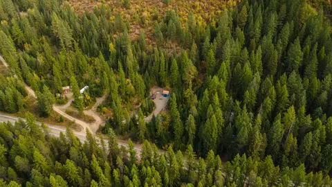20540 N Leclerc Rd, Cusick, WA 99119 photo 29