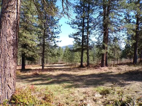 32 Bjs Pl, Kettle Falls, WA 99141 photo 10