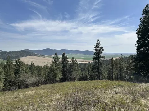 tbd E Steptoe View Ln, Latah, WA 99018