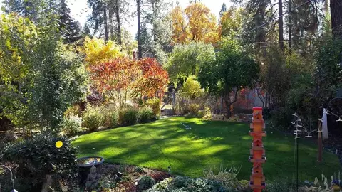 Exterior - 620 E 21st Ave, Spokane, WA 99203 photo 11 of 12