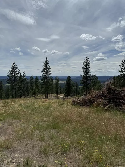 14808 N Cliff Ln #SITE 136, Spokane, WA 99208