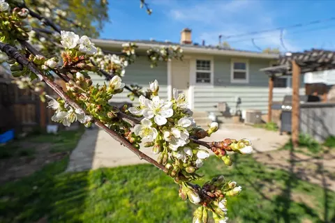 Exterior - 816 E Decatur Ave, Spokane, WA 99208 photo 5 of 17