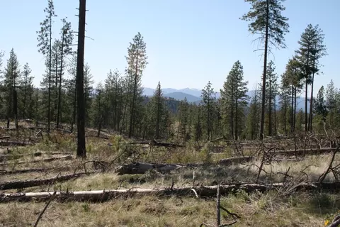 00 Coyote Canyon Rd, Fruitland, WA 99129