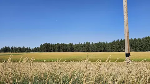 NNA S Parker Rd #PARCELS 33303.9058, 33316.90, Spangle, WA 99031