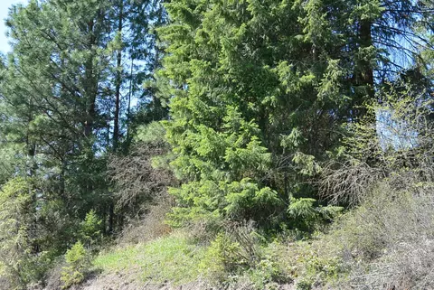 tbd Long Prairie Rd, Valley, WA 99181