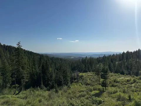 27312 N Jackson Rd, Chattaroy, WA 99003