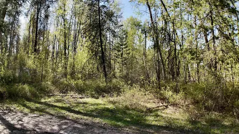 Nna Needles Dr, Cusick, WA 99119 photo 6