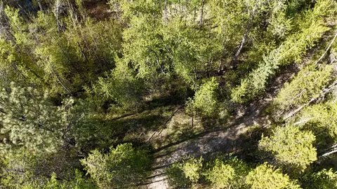 Nna Needles Dr, Cusick, WA 99119 photo 5