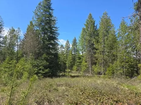 Nnn W Oregon Rd, Deer Park, WA 99006