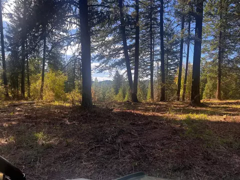 Nnn Horseshoe Lake Rd, Deer Park, WA 99006