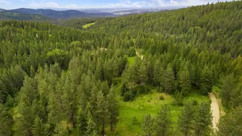 23300 N Mt Spokane Park Dr, Mead, WA 99021