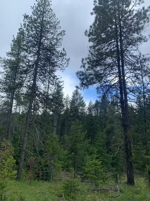 27 Nn Clark Lake Rd, Addy, WA 99101