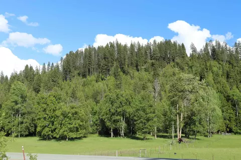 1688216912 Highway 31, Metaline Falls, WA 99153