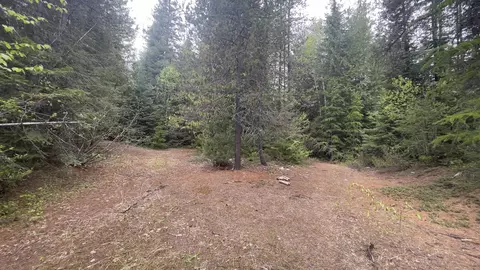 3084 Sicley Rd, Cusick, WA 99119 photo 2