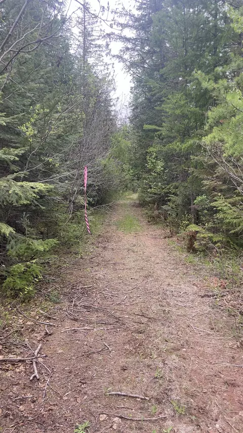 3084 Sicley Rd, Cusick, WA 99119